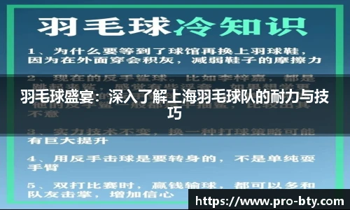 羽毛球盛宴：深入了解上海羽毛球队的耐力与技巧